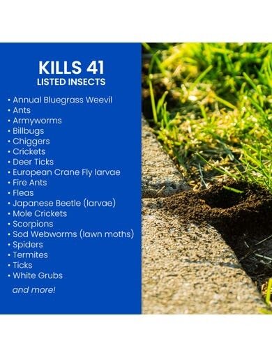 BioAdvanced Complete Insect Killer for Soil