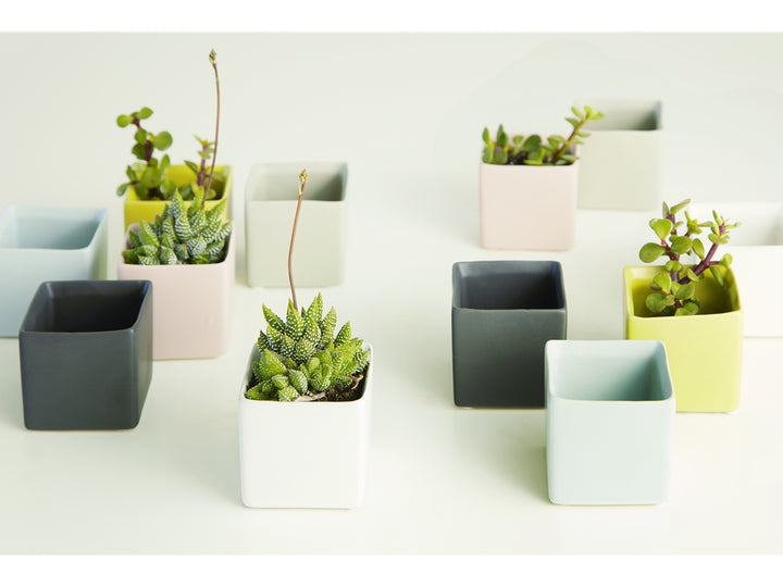 Cube Cache Pot Mixed Colors