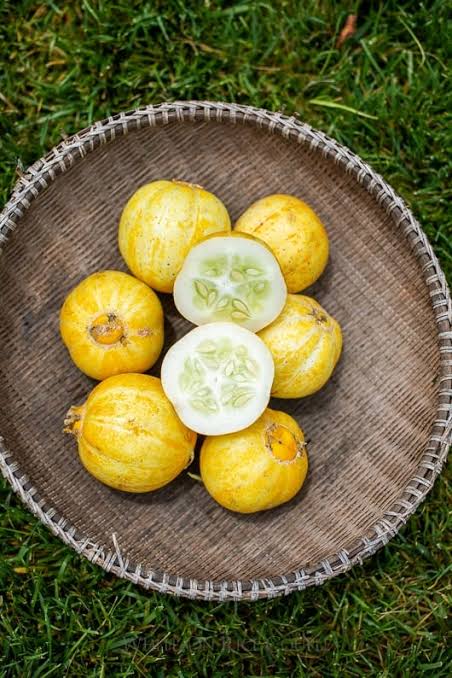 Cucumber Lemon