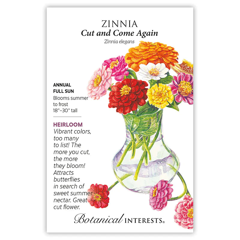 Zinnia Cut and Come Again