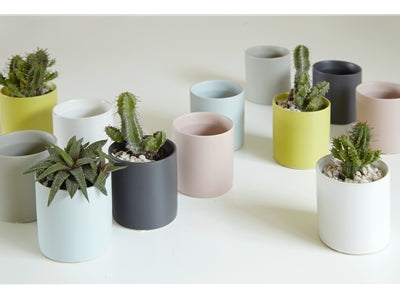 Cylinder Cache Pot Mixed Colors | Little Red Nursery, LLC