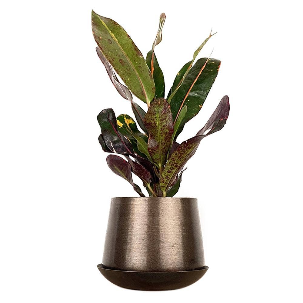 Joe Metal Flower Pots Plant Pot Decoration Bulk Kits