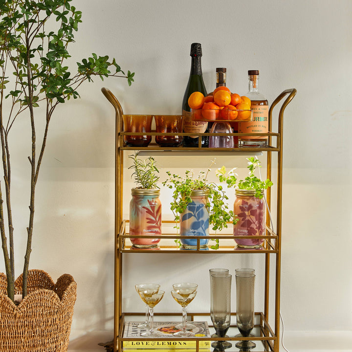 Herb Garden Jar
