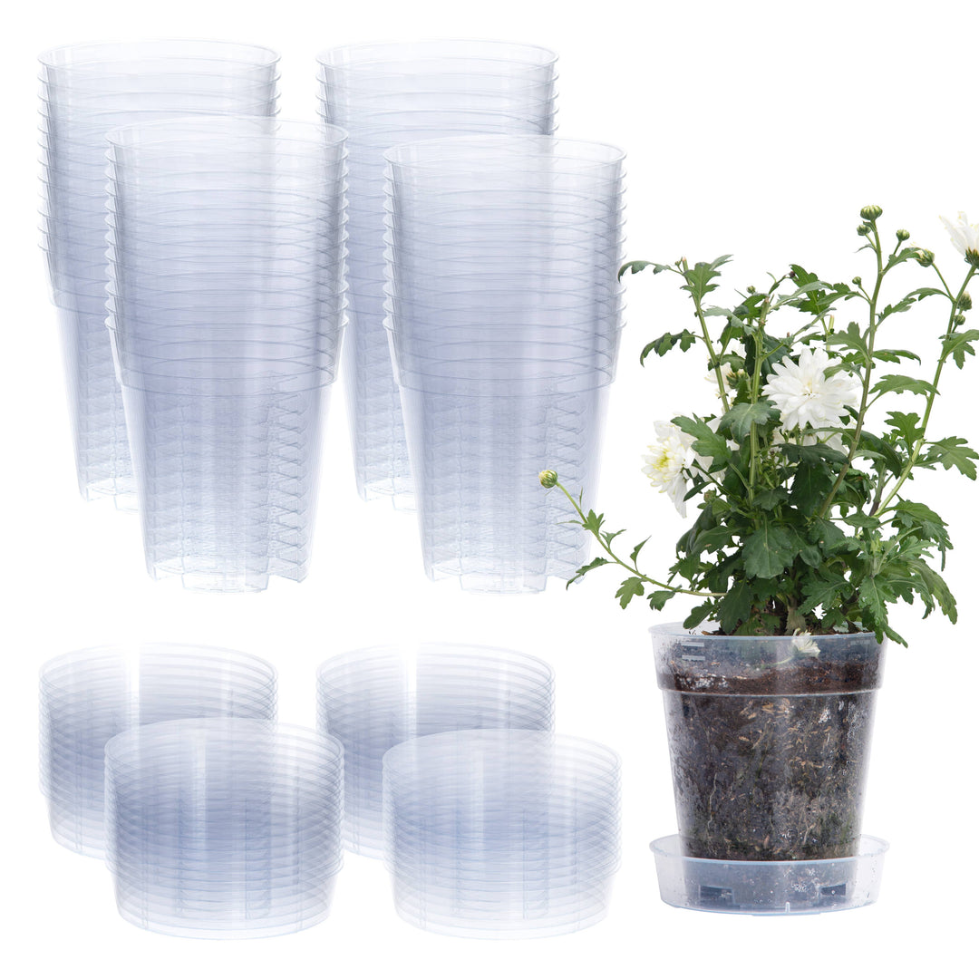 Clear Nursery Pot with an Interlocking Saucer, 6.5" X 7"