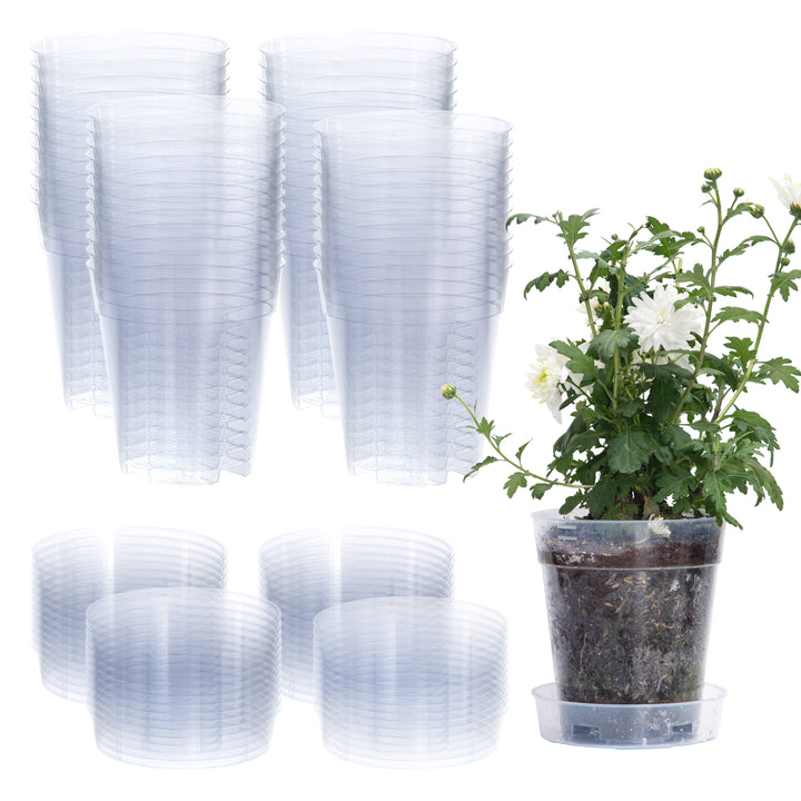 Clear Nursery Pot with an Interlocking Saucer, 6.5" X 7"