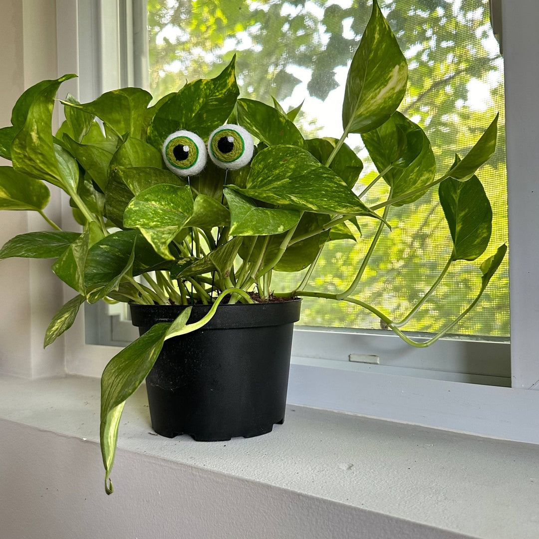 Felted Wool Plant Eyeballs