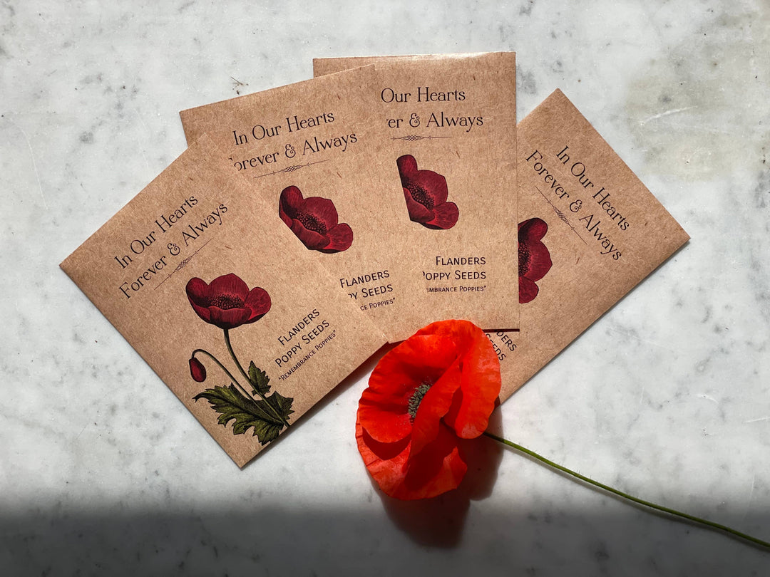 In Our Hearts Remembrance Memorial - Flanders Poppy