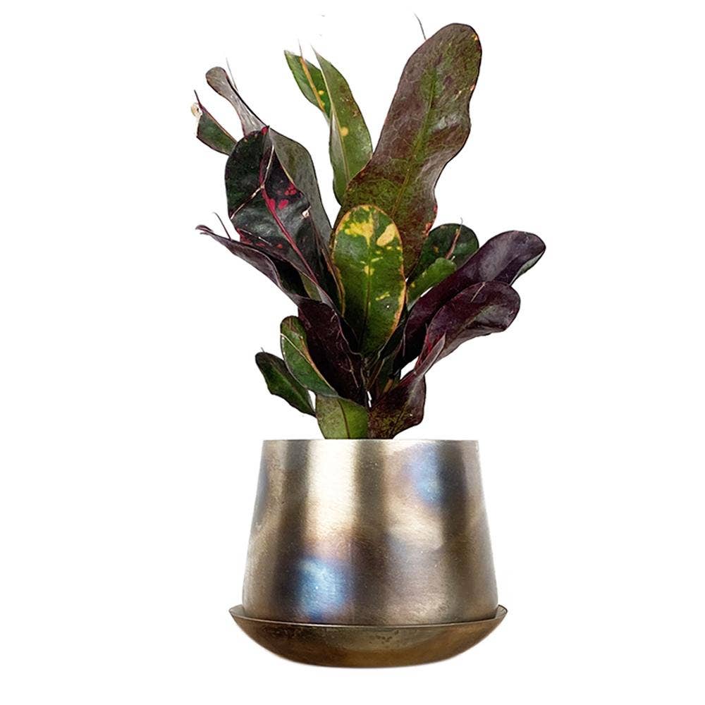 Joe Metal Flower Pots Plant Pot Decoration Bulk Kits