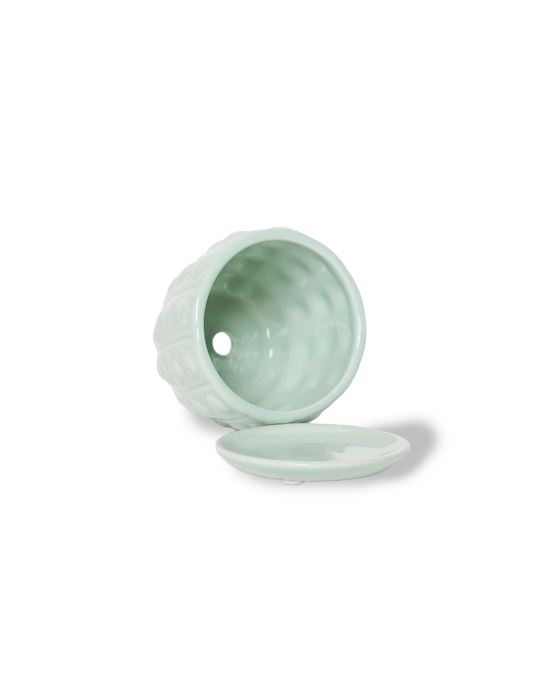 Convex Planter For Succulents And Cactus Pot With Saucer