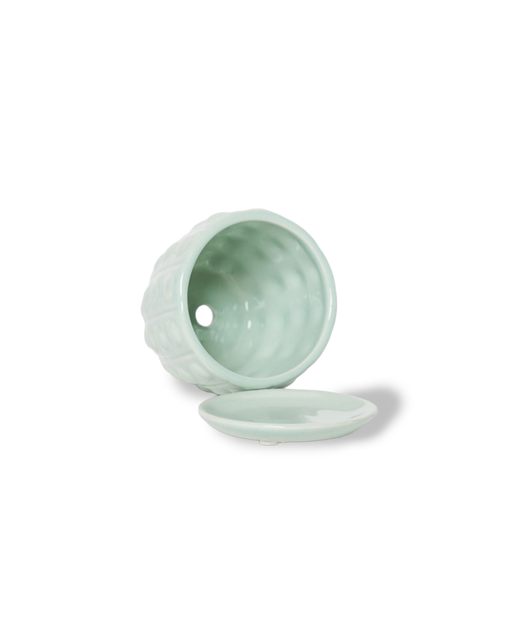 Convex Planter For Succulents And Cactus Pot With Saucer