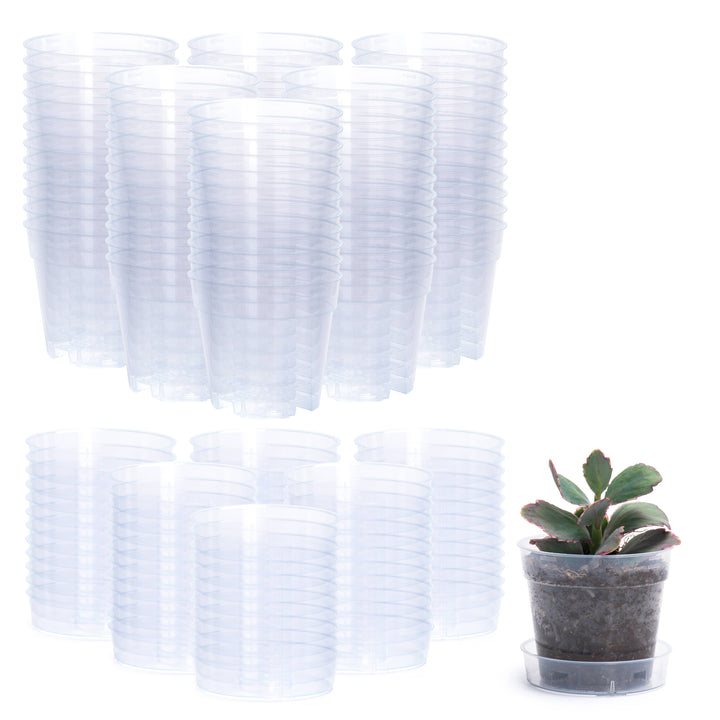 Clear Nursery Pot with an Interlocking Saucer, 4" X 3.5"