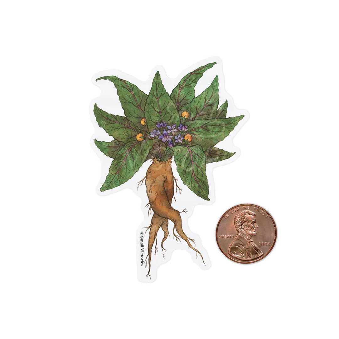 Eco-Sticker: Mandrake