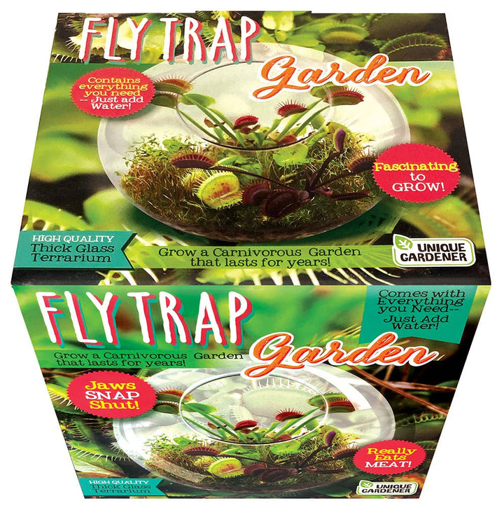 Flytraps Glass Terrarium Seed Kit