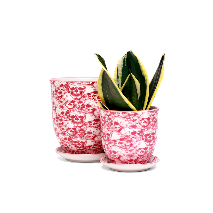 Liberte Ceramic Planter Modern 3 Inch Planter