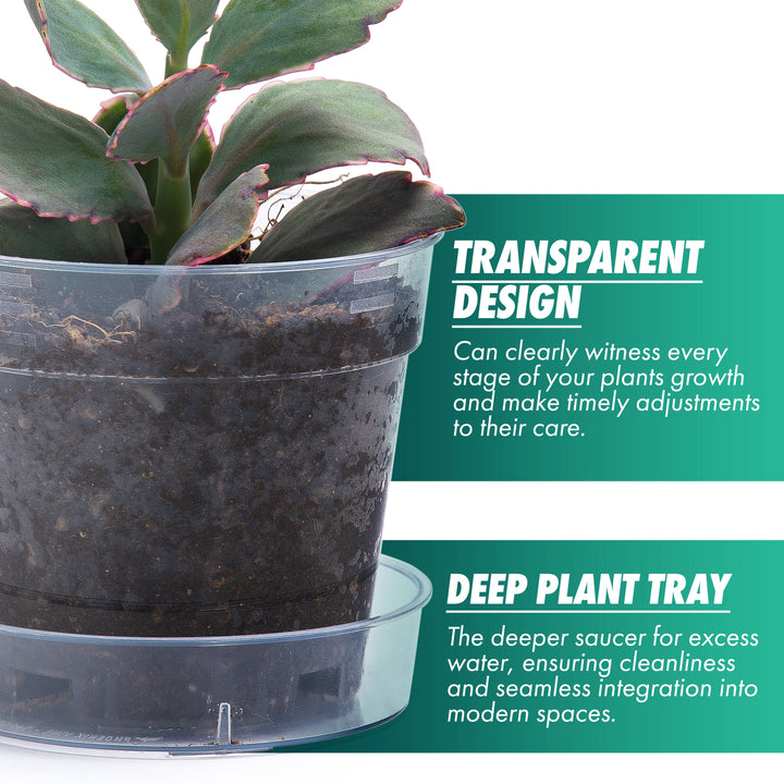 Clear Nursery Pot with an Interlocking Saucer, 4" X 3.5"