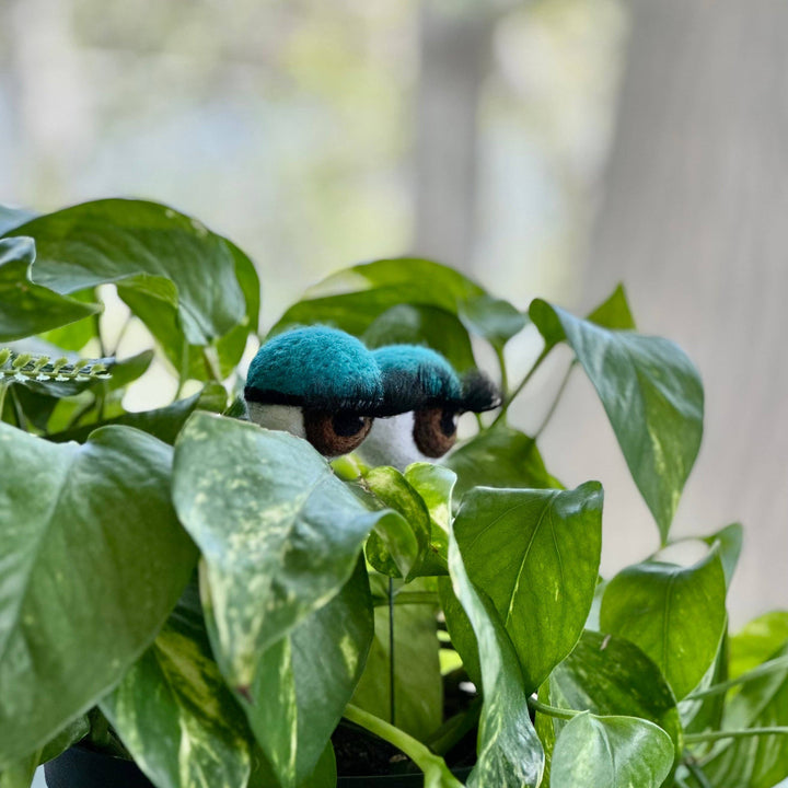 Felted Wool Planter Eyeballs with Eyelashes 