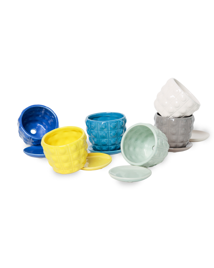 Convex Planter For Succulents And Cactus Pot With Saucer