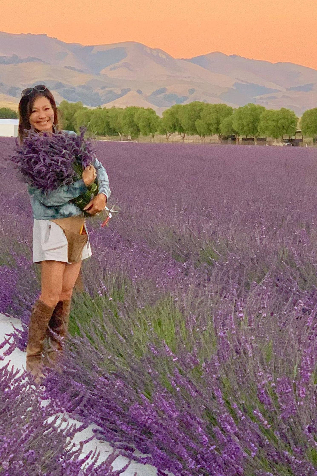 Lavender Posy Bouquet - Farm-Grown Dried Lavender