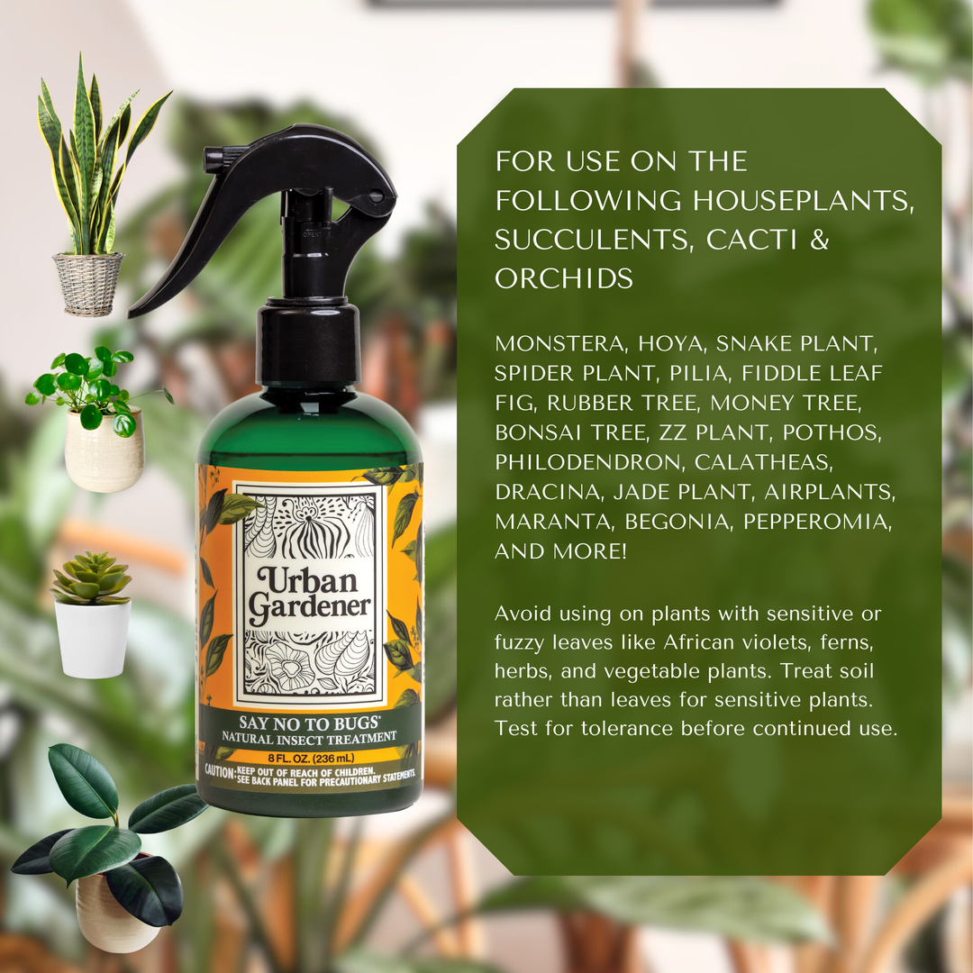 Say No To Bugs - Natural Houseplant Insect Treatment