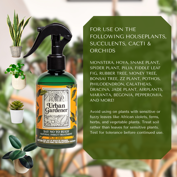 Say No To Bugs - Natural Houseplant Insect Treatment
