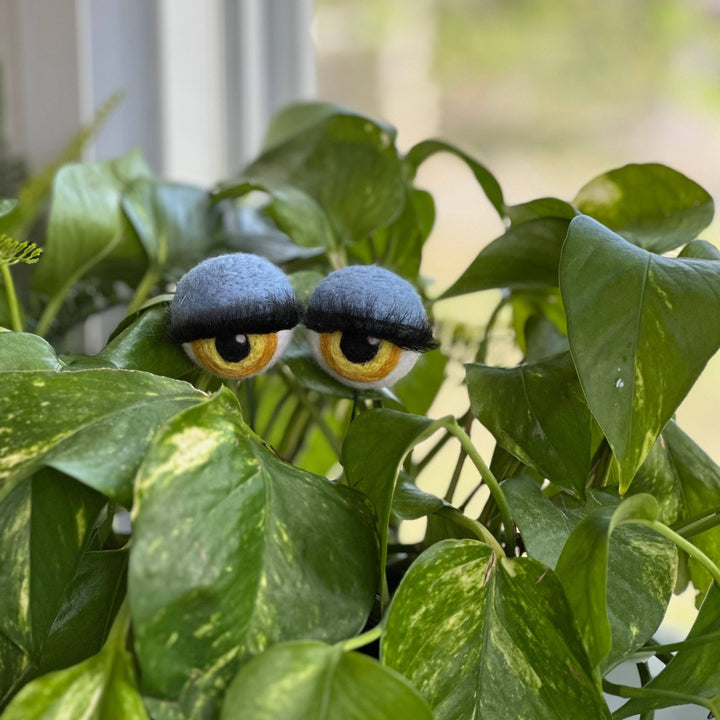 Felted Wool Planter Eyeballs with Eyelashes 