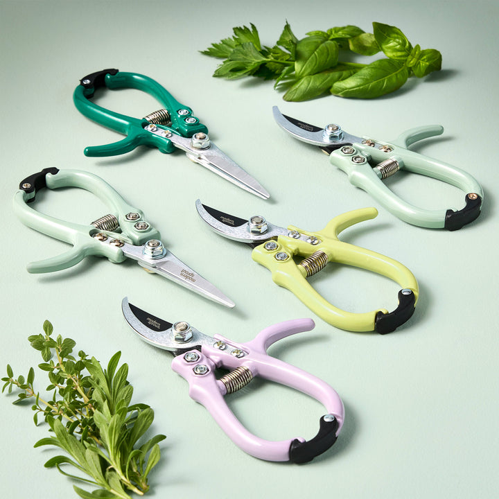 Garden Shears  - New Colors!