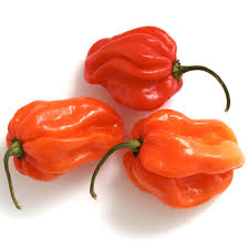 4" CHEF JEFF'S PEPPER HABANERO