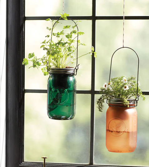 Metal Hanger For Wide Mouth Jars Modern Sprout