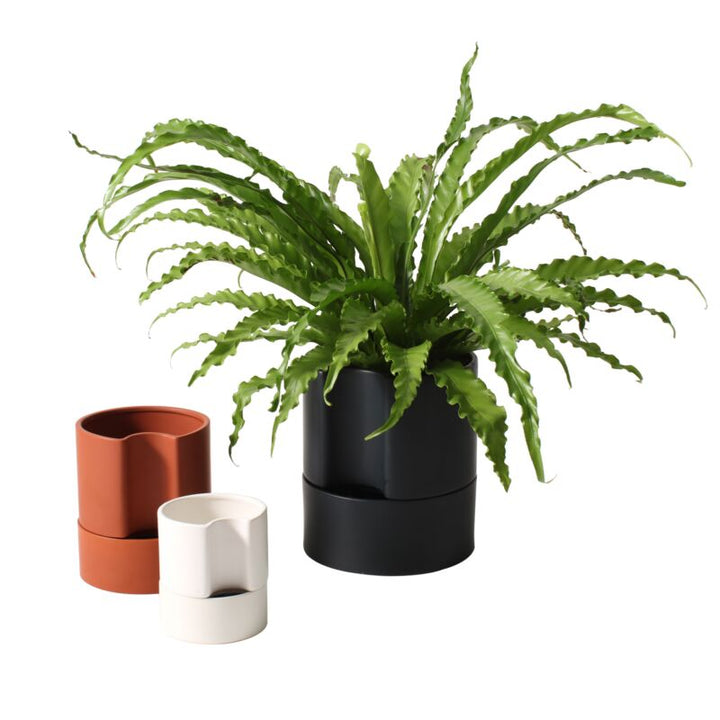 Jett Pot Self Watering Indoor Planter