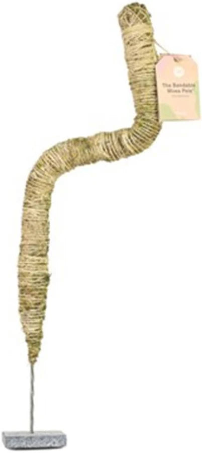Mossify Original Bendable Moss Pole (Pins included)