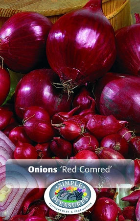 Onion Sets (bulbs)