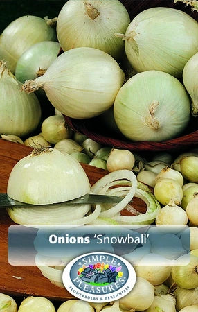 Onion Sets (bulbs)