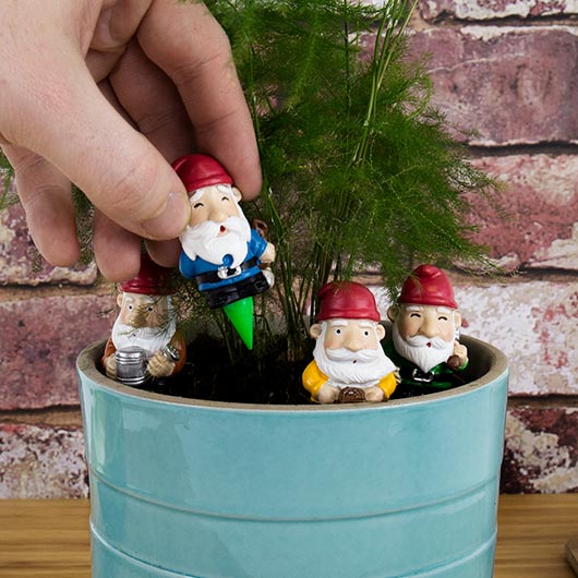 Mini Garden Gnomes