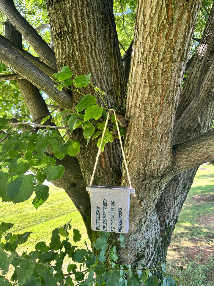 Suet Cake Feeder - Nut Husks