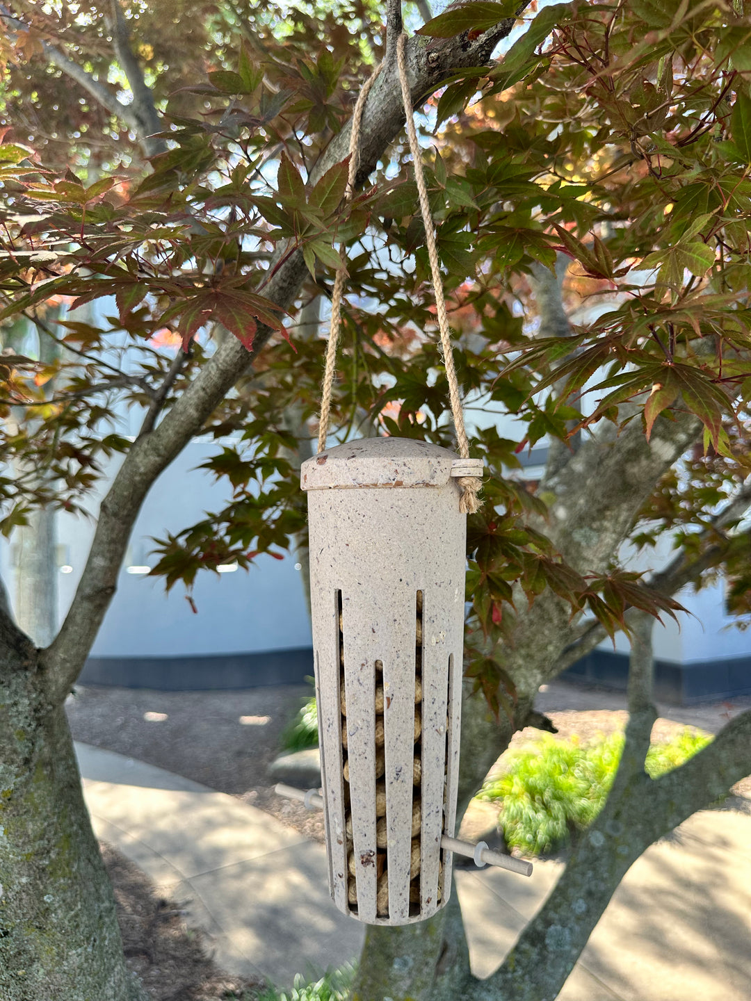 Peanut Feeder - Coffee Husks