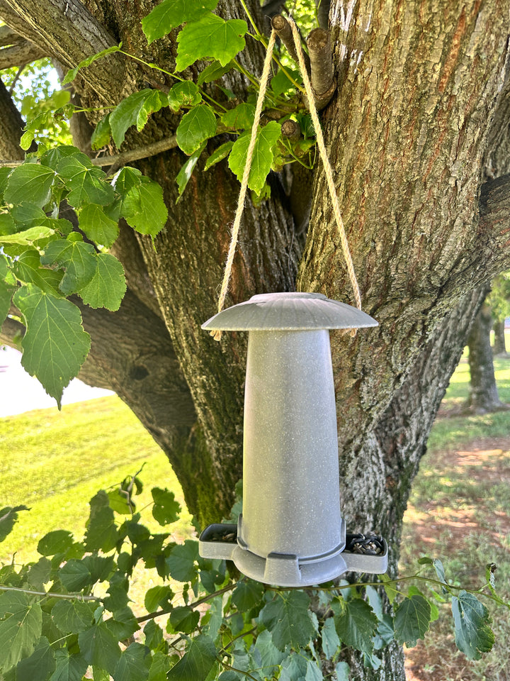 Seed Feeder - Straw