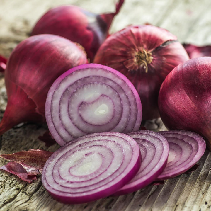 Red Onion Bulb