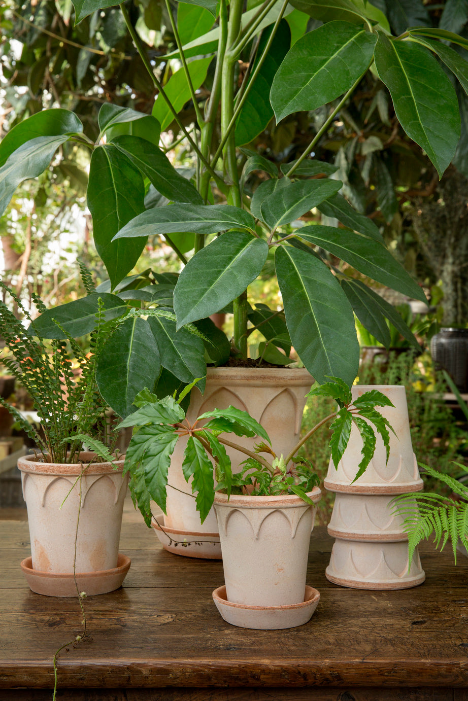 Elizabeth Planter