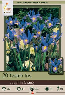 Iris Sapphire Beauty Bulb