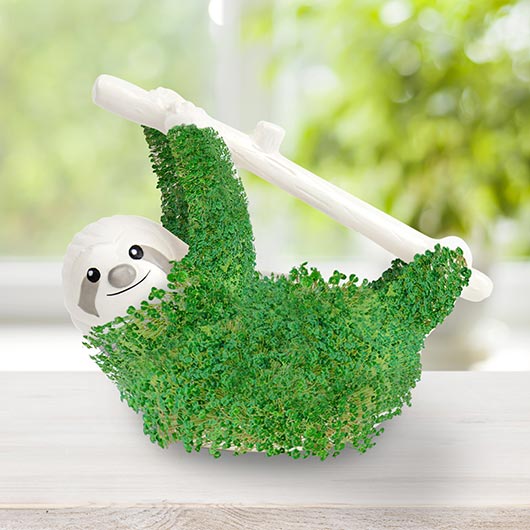 Sloth Chia Planter