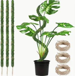 bendy moss pole 3 Pack Benadble Moss Pole Thin